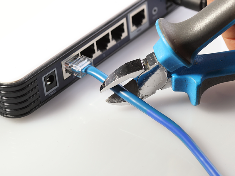 Cutting the Cord Expense Cutter